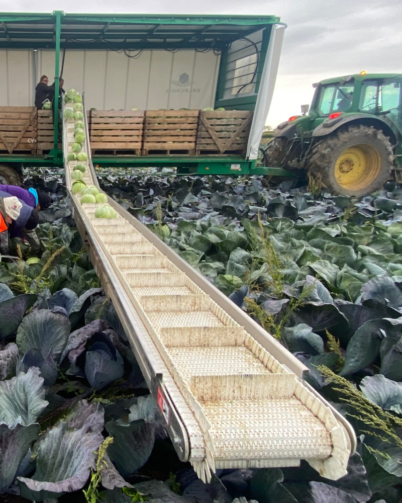 Harvesting Belts & Trailers