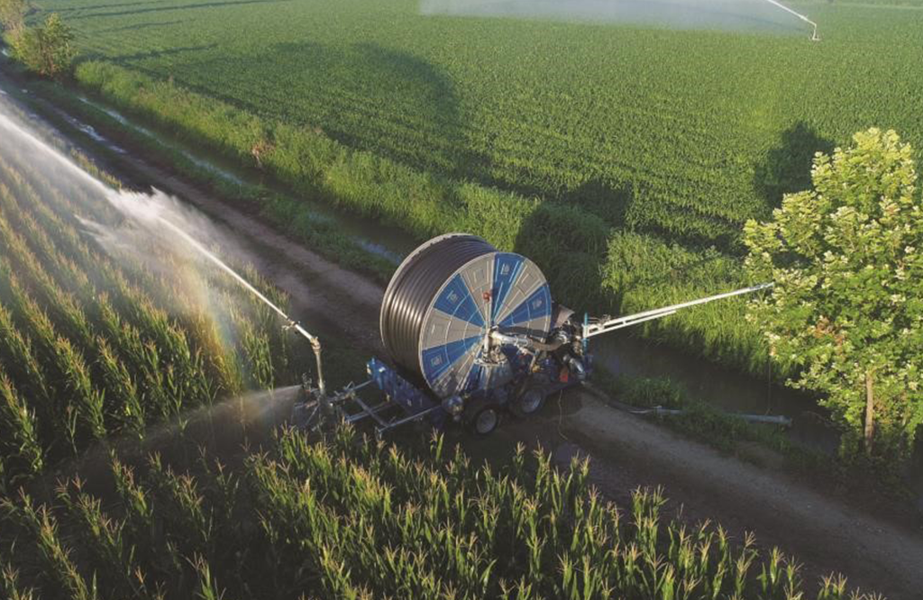 Irrigation image