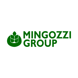 Mingozzi